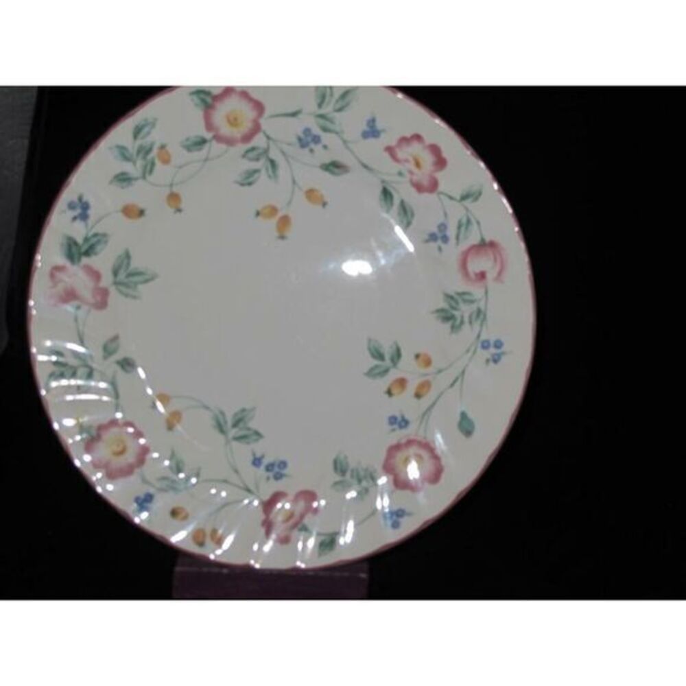 Churchill Briar Rose Dinner‎ Plate (s)